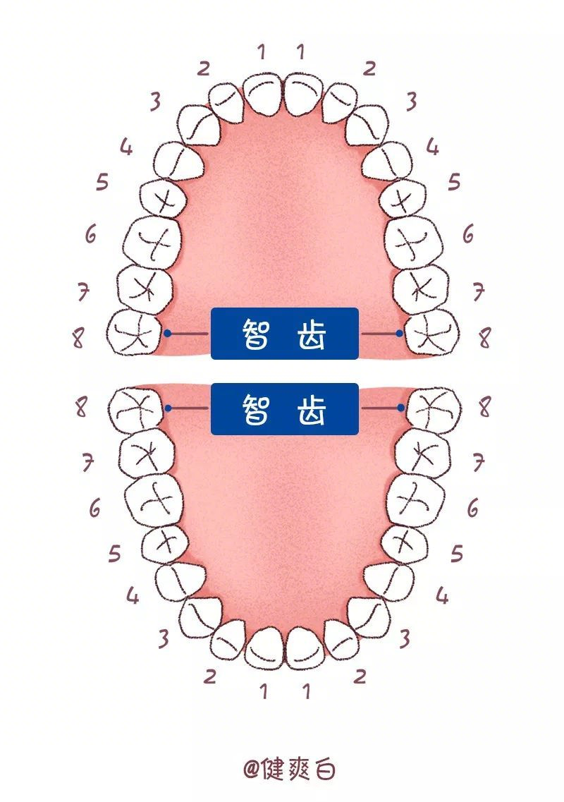 牙齿拍牙片要多少钱？深港牙片拍摄指南